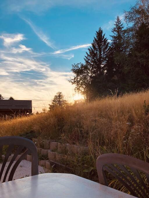 Appart. Gerardmer - Le Rep'Air エクステリア 写真